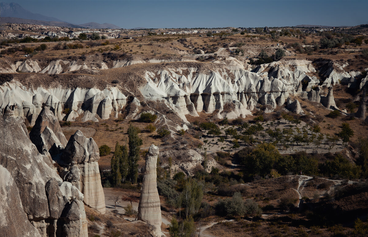 Долина голубей - Лилия . Долина голубей - Лилия .
