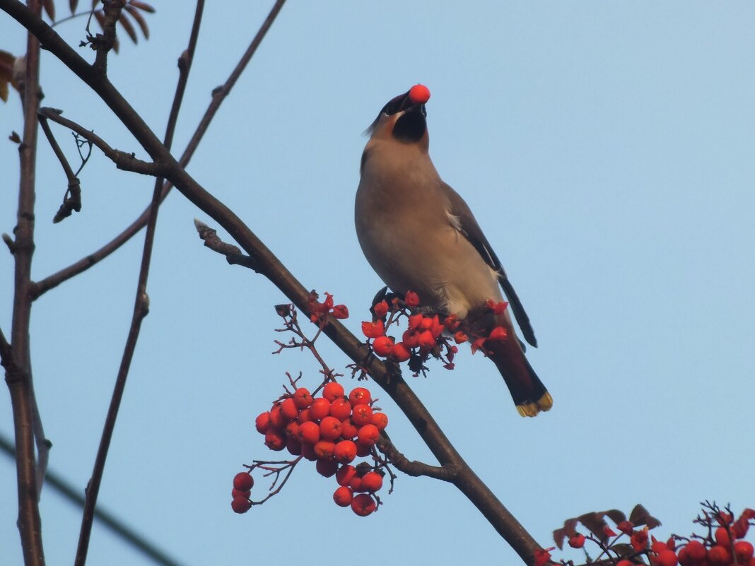 ** - Зоя Мишина