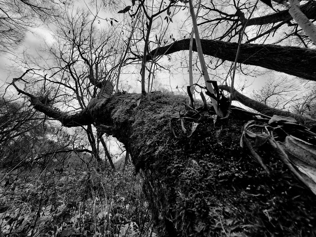 эксперимент - Артём 