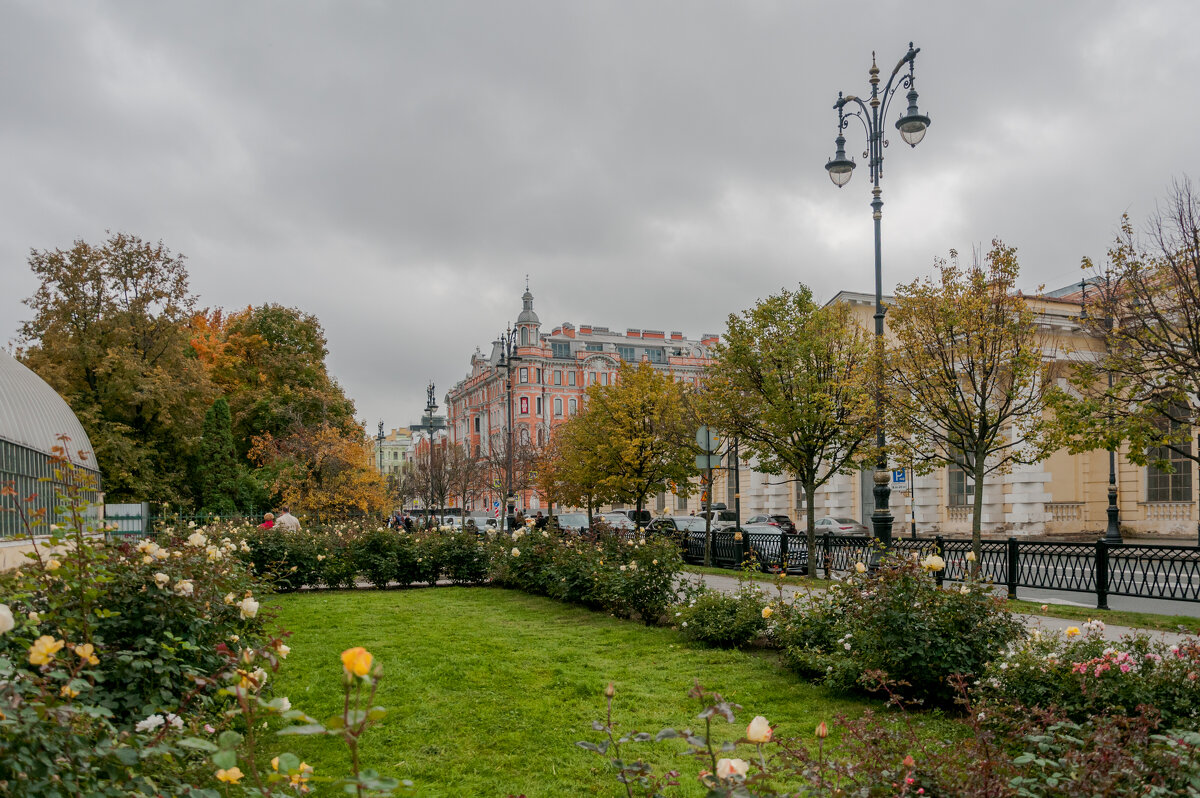 *** - Светлана .