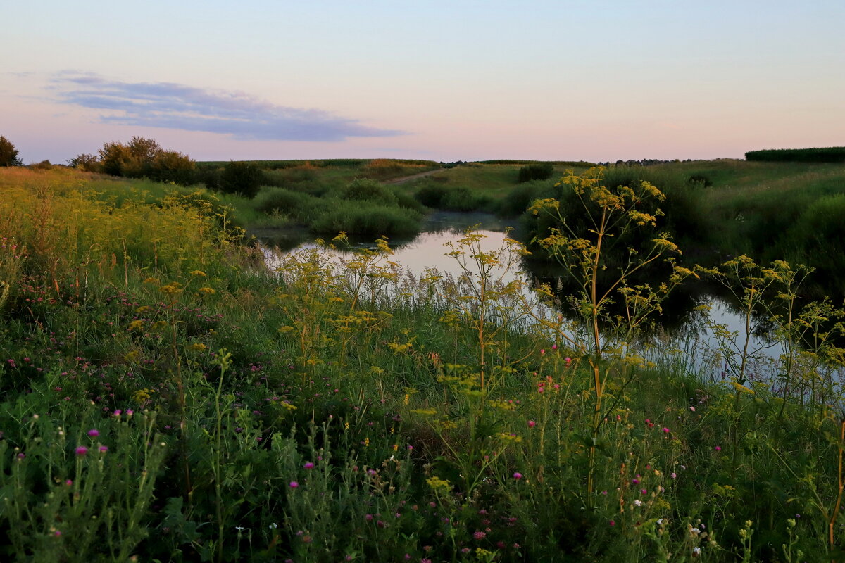 *** - Юрий Морозов