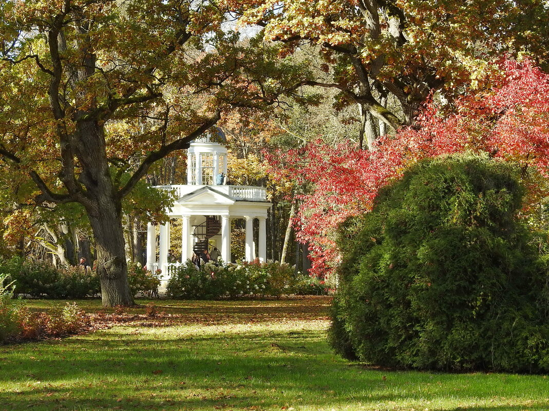 осень - ИННА ПОРОХОВА осень - ИННА ПОРОХОВА