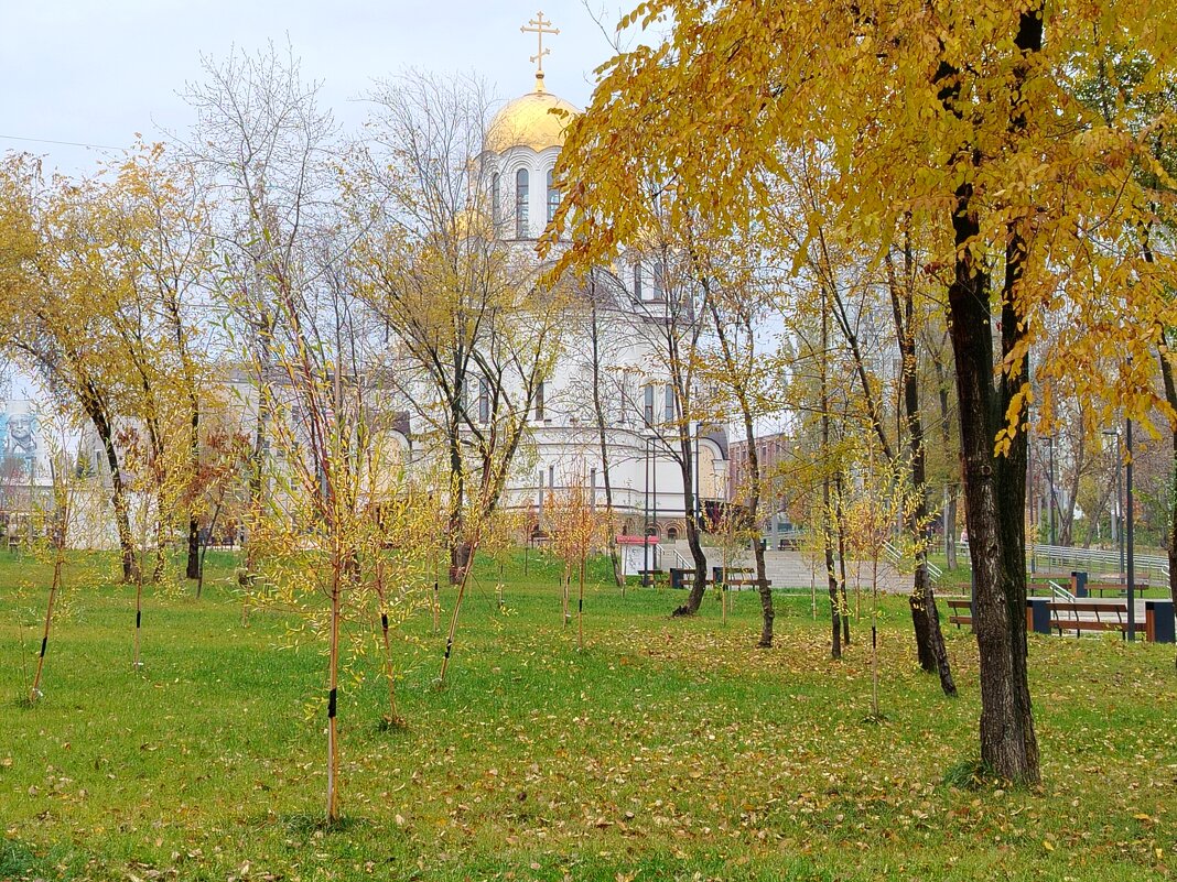 Осень - Надежда Осень - Надежда