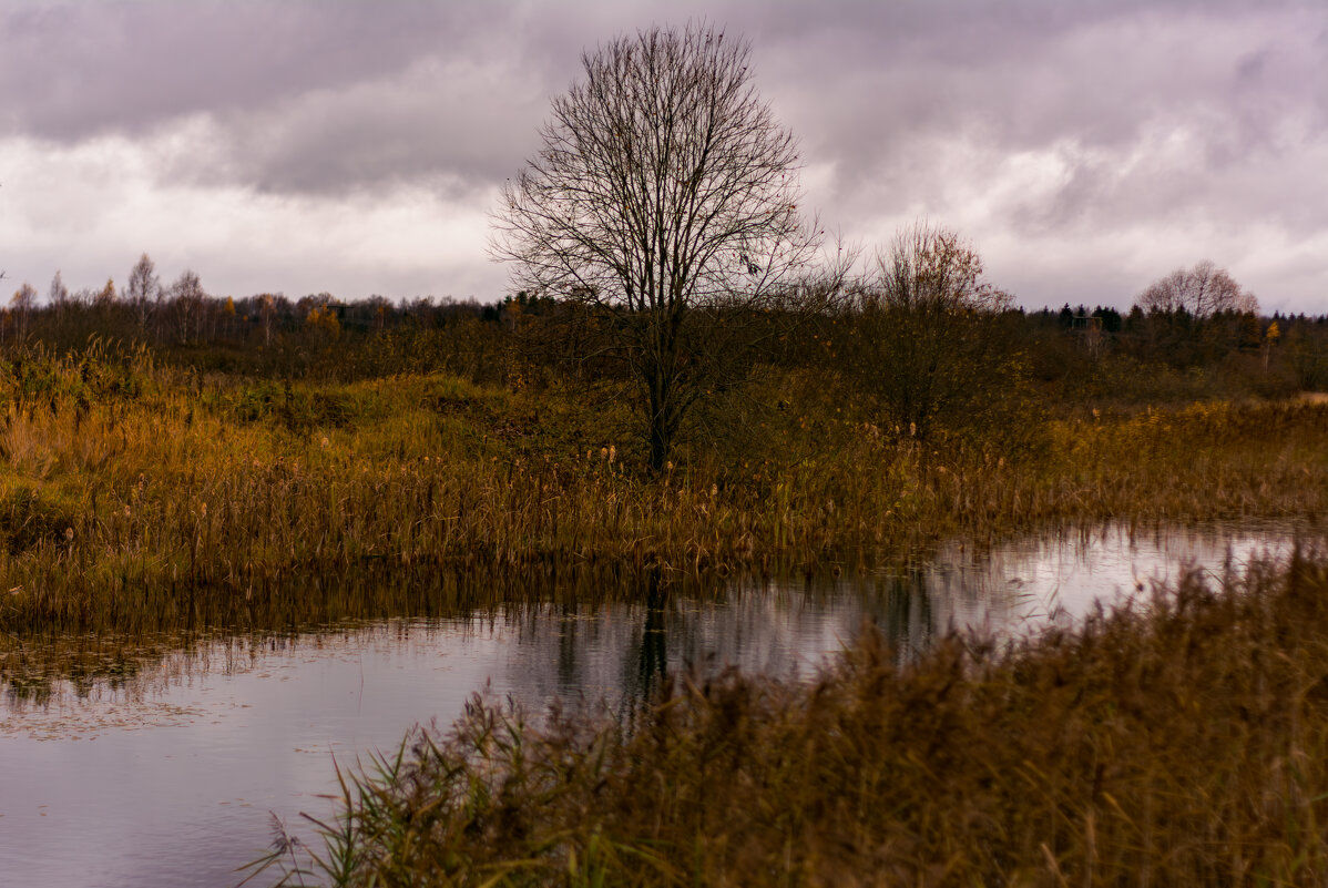 На пруду - Сергей Зонов