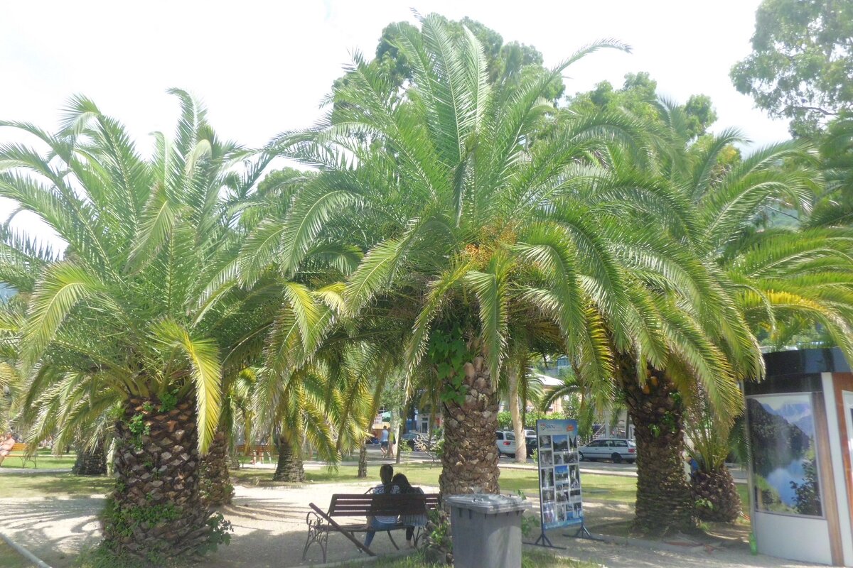 *** - СЕРГЕЙ ФИЛОЧКИН