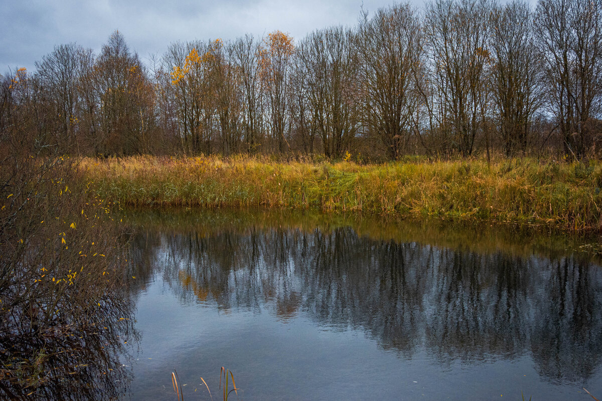 Пруд - Сергей Зонов Пруд - Сергей Зонов