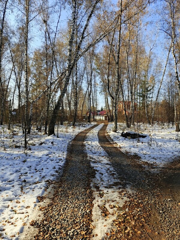 Дорога в осень . - Мила Бовкун