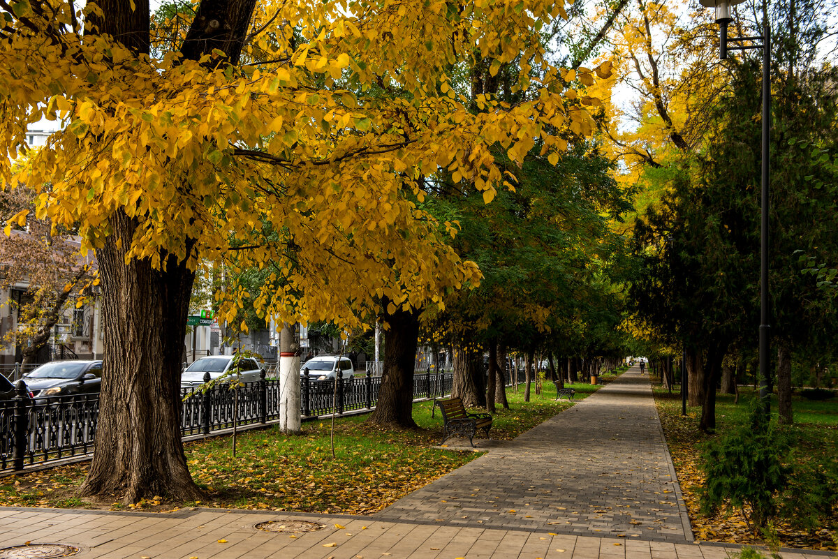 Уголки Симферополя. - Сергей Воротников