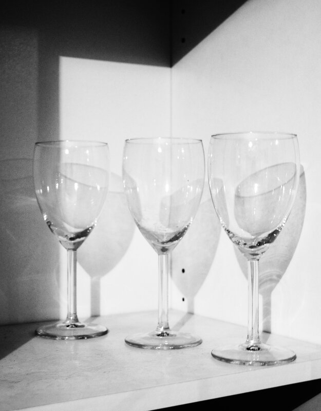 100 - Василий Палий