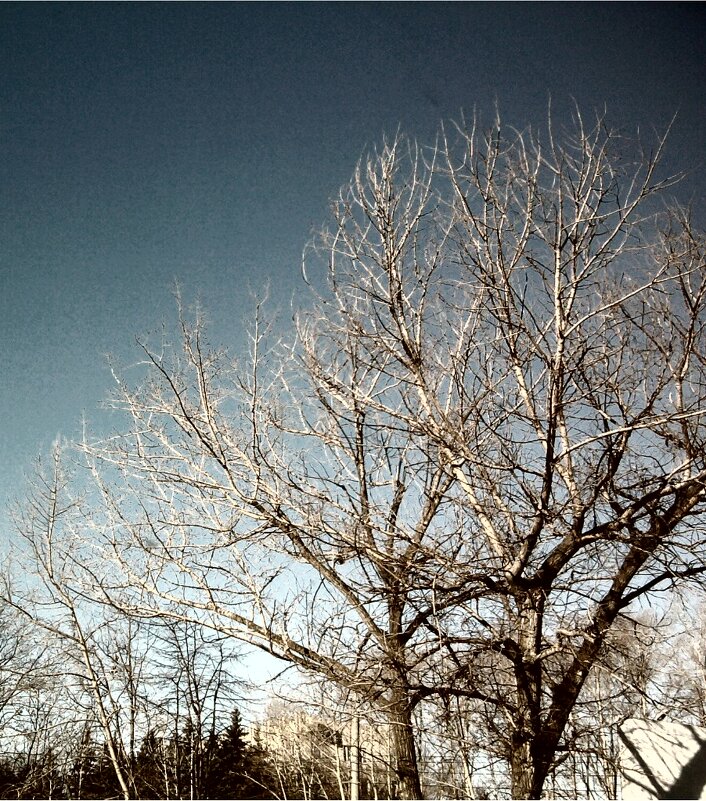 Поздняя осень - Nora Nowhere