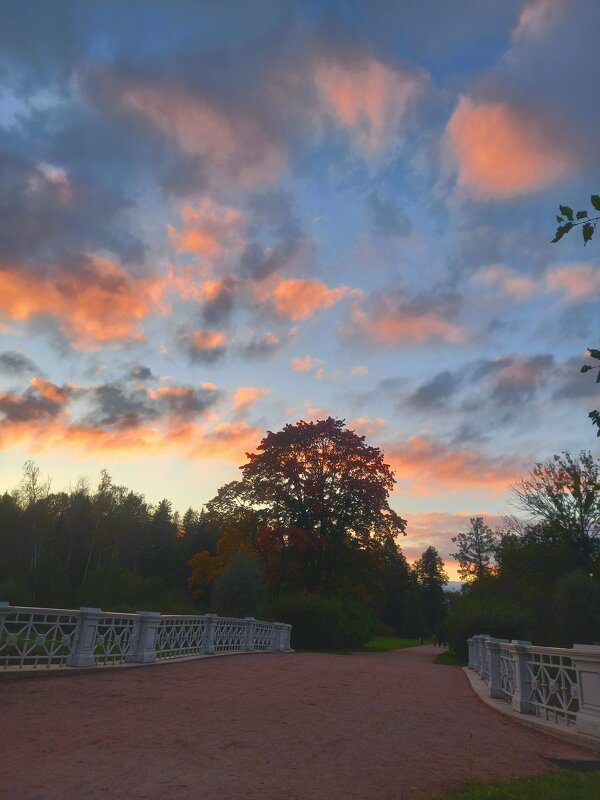 Закат - Сапсан 