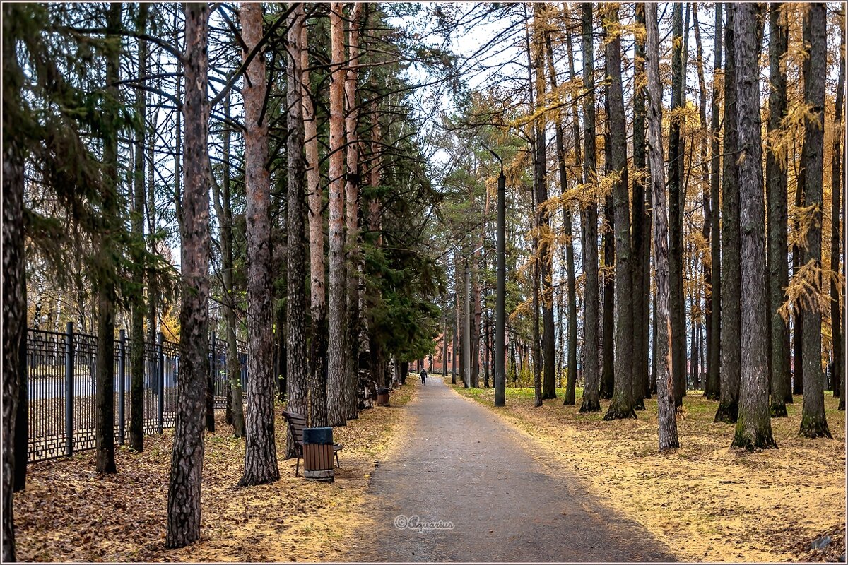 Осенний парк.... - Aquarius - Сергей Осенний парк.... - Aquarius - Сергей