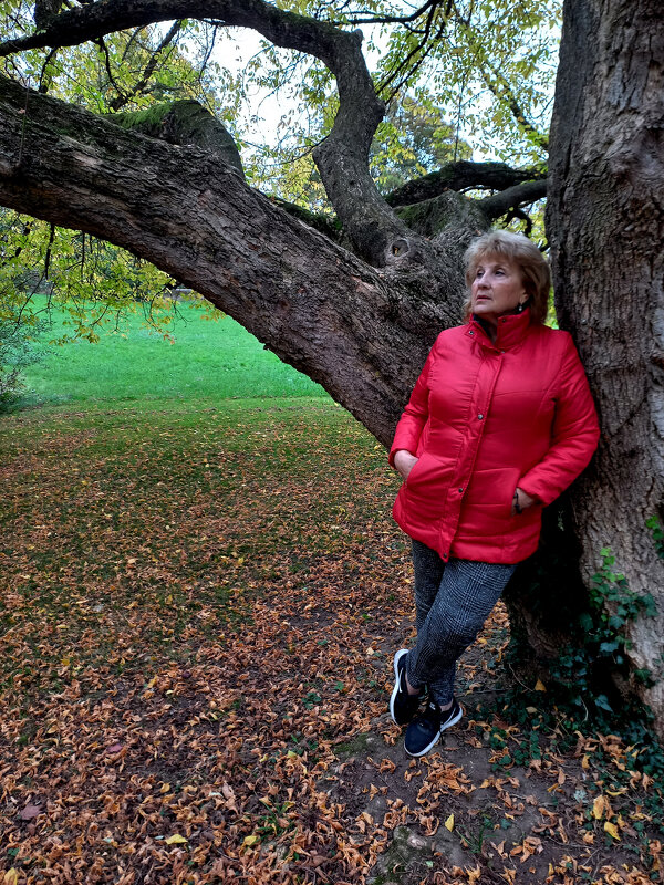 Осень - Сергей Порфирьев