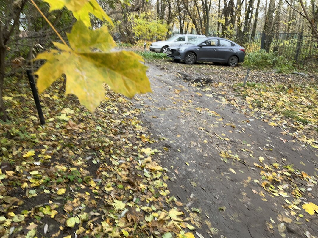 "осенний сюжет" - Olga Oskolkova