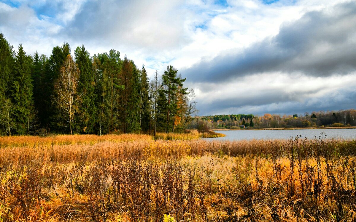 Осень в конце октября. - Милешкин Владимир Алексеевич 