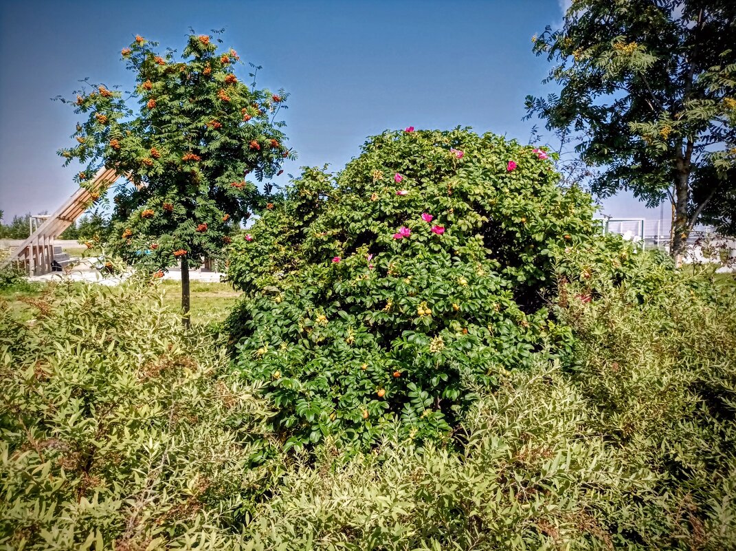 Прогулка по променаду Круизного терминала - Veera V