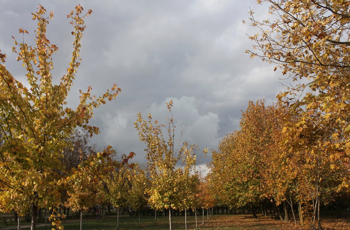 В парке - Оксана Новик 