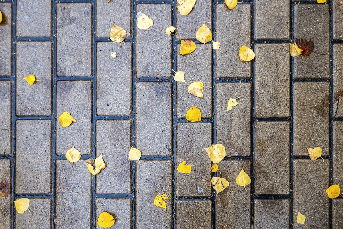 Осенний тротуар - Валерий Иванович