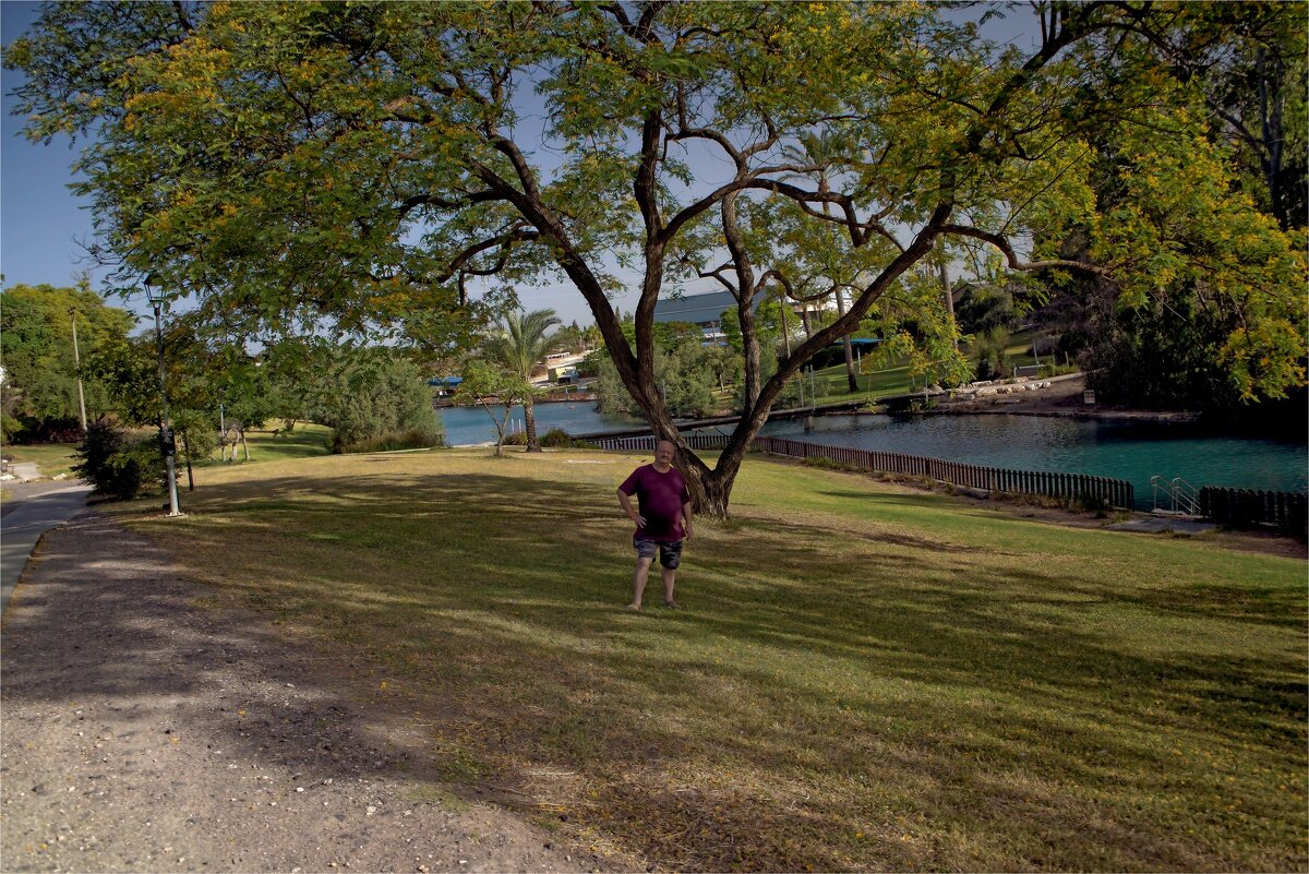 Израиль север страны *Кибуц Нир Давид - ujgcvbif 