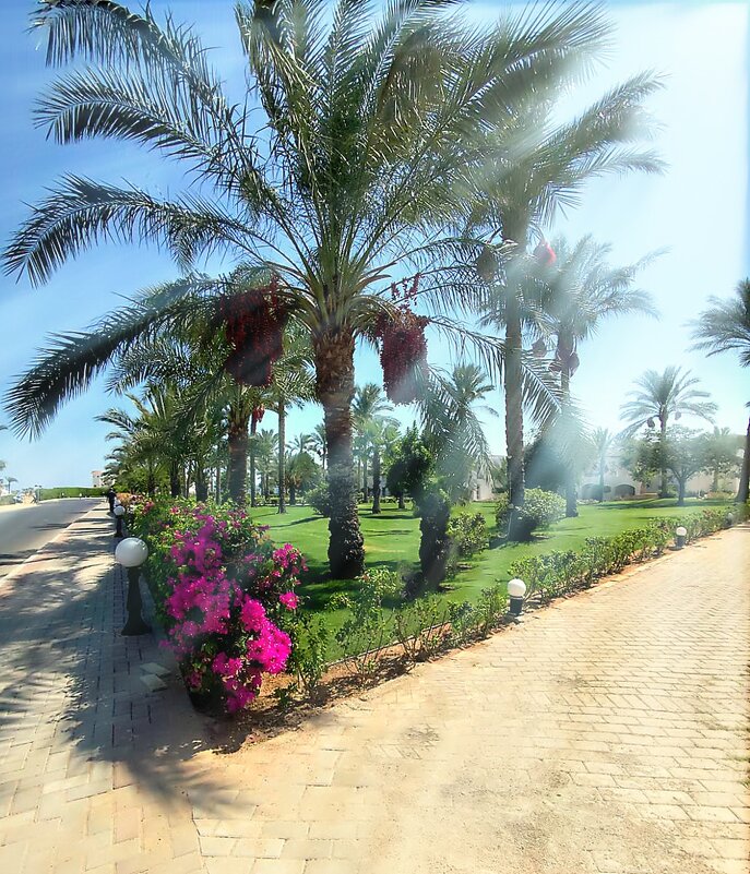 Где-то там... - Роман Савоцкий