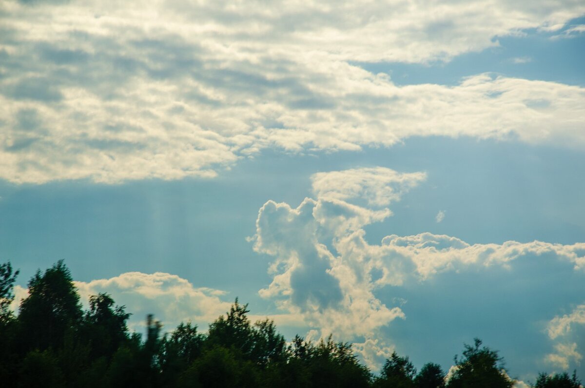 Ангела в дорогу.. - Галина Ложечникова