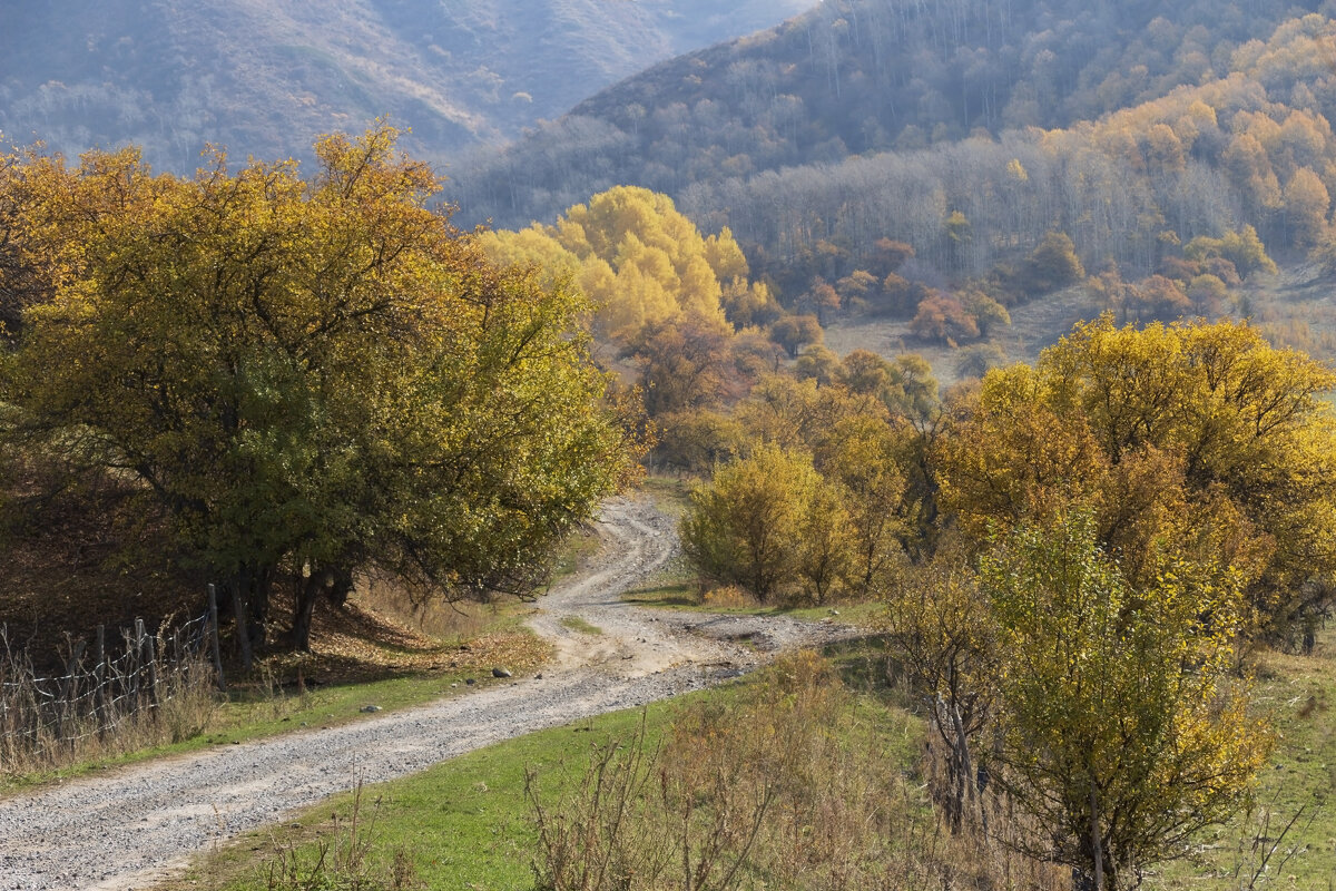 Изящно петляющая дорога - LudMila 