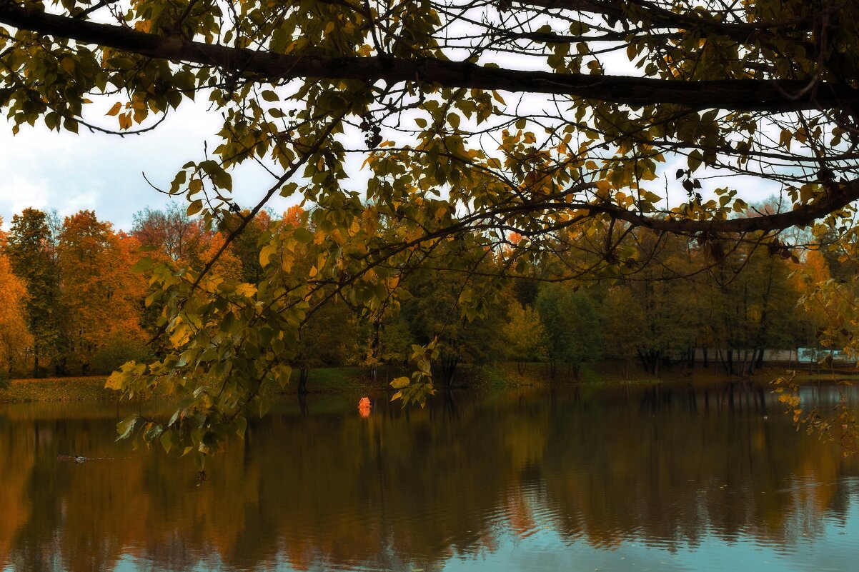 Октябрь уходит еле слышно. - Татьяна Помогалова