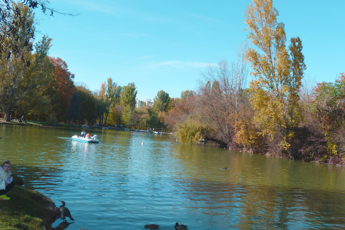 Пейзажи  Гагаринского  парка - Валентин Семчишин