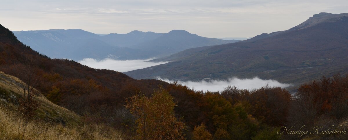 Природа Крыма - Amazing Cosmea