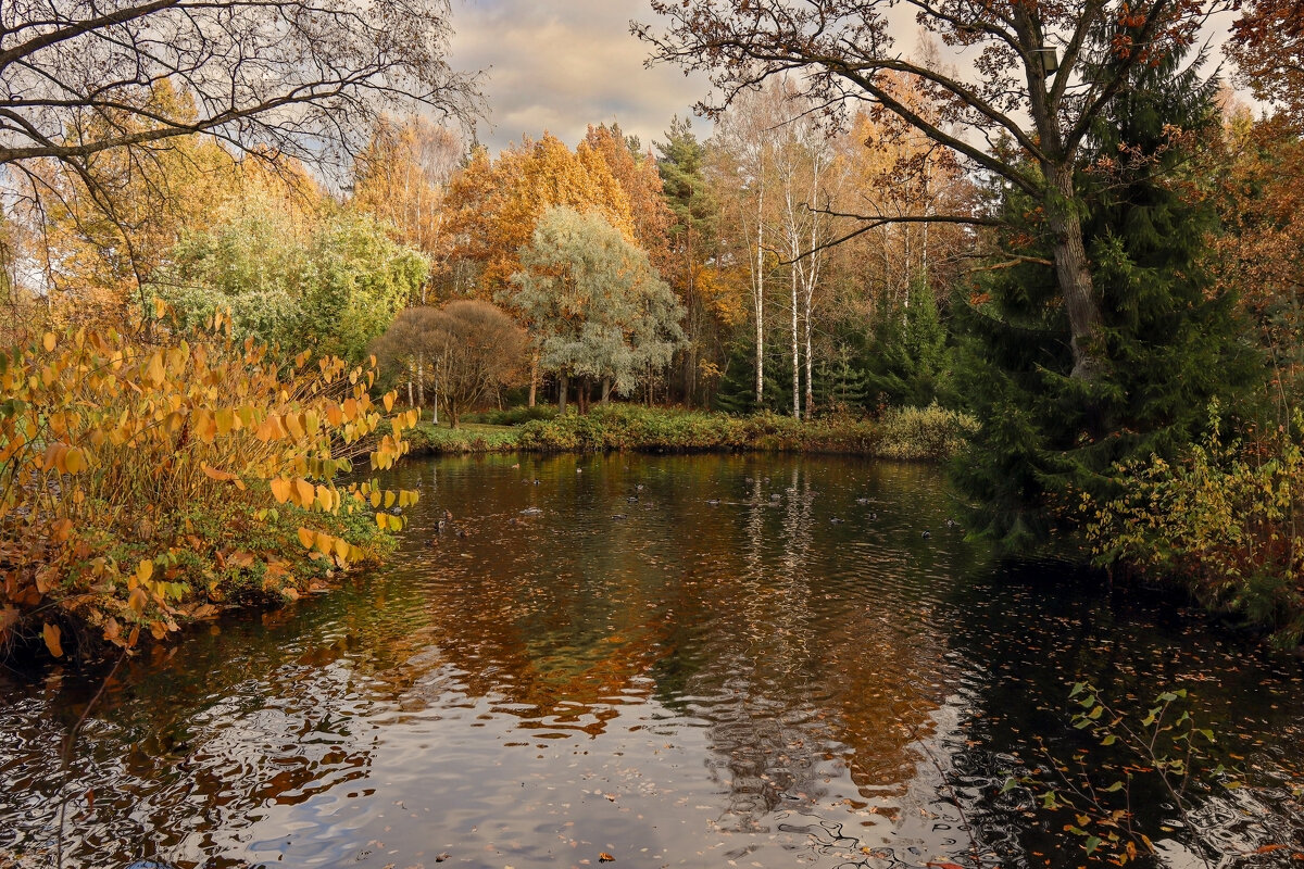 Шуваловский парк - skijumper Иванов