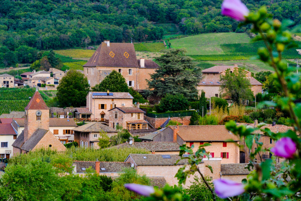 д. Лейнс - Георгий А