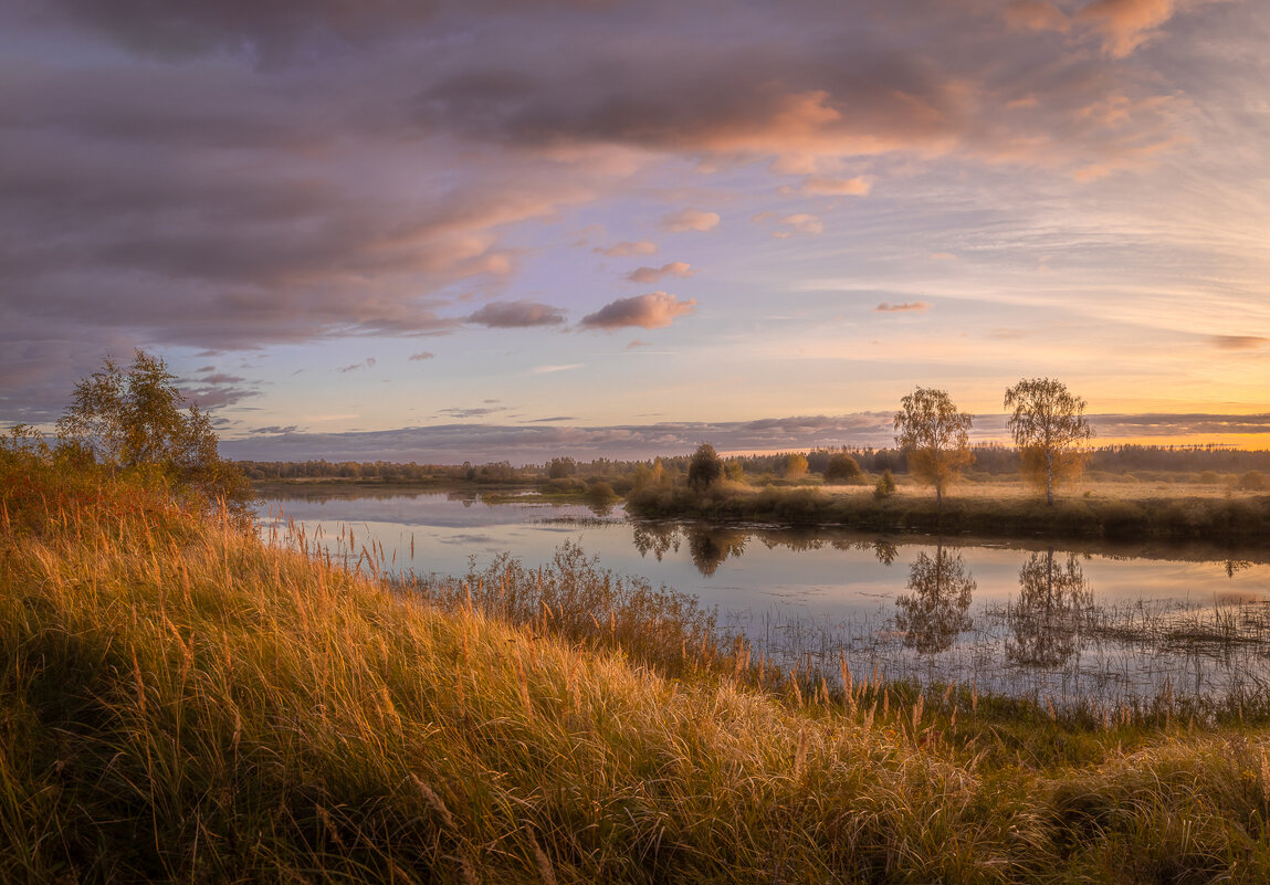 **** - Елизавета .