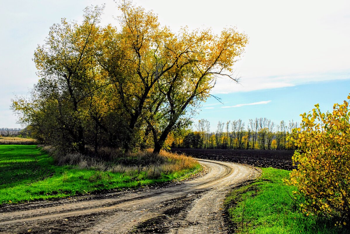 Осень. - Владимир 