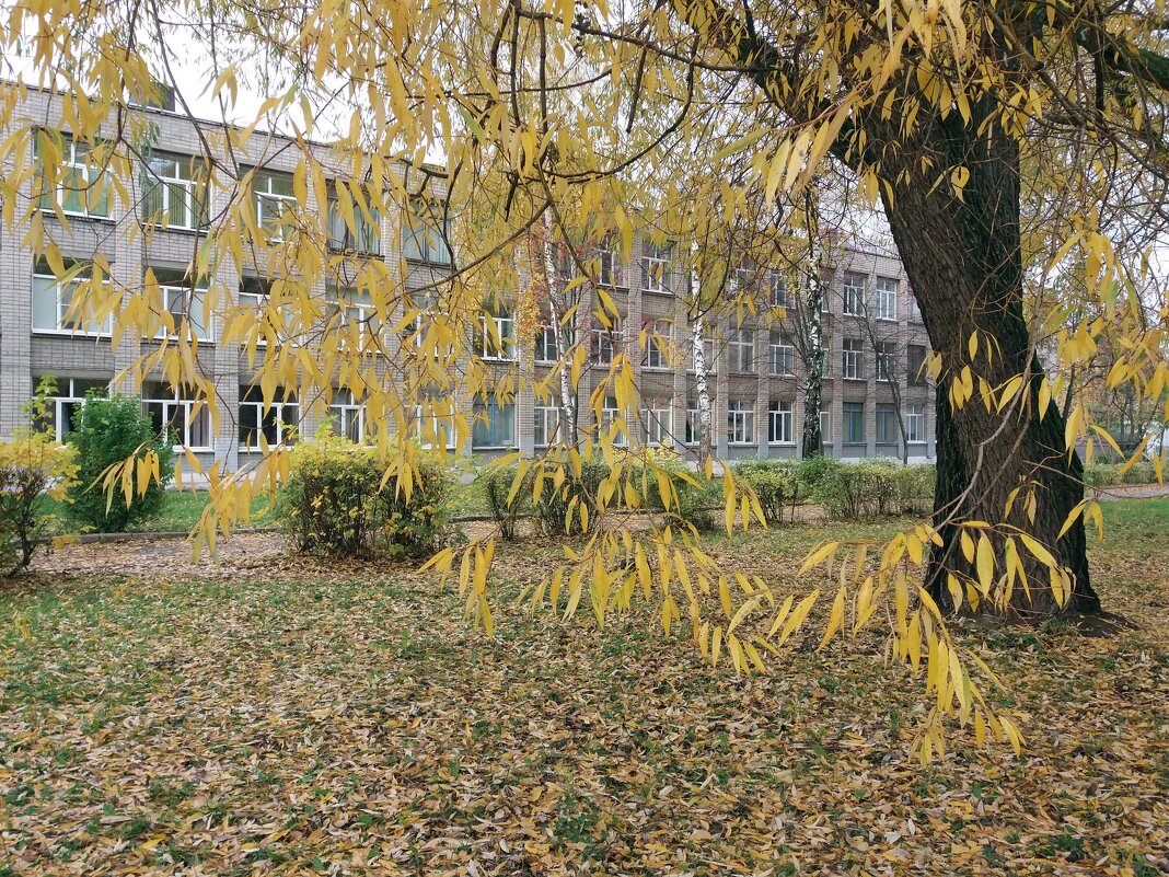 Осенний сюжет - Galina Solovova