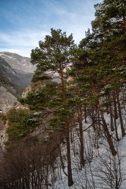 Куртатинское ущелье. Северная Осетия -Алания. - Дина Евсеева