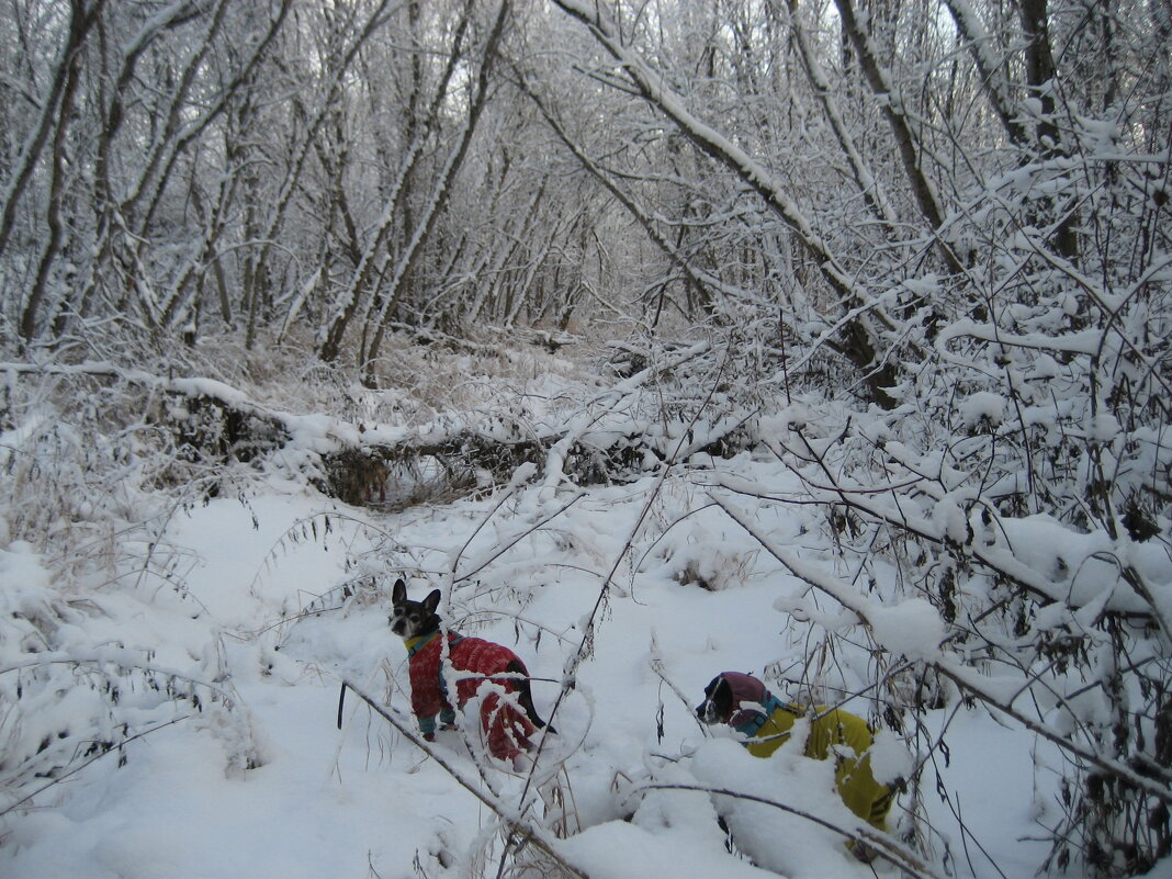 Прогулки по островам - Anna Ivanova
