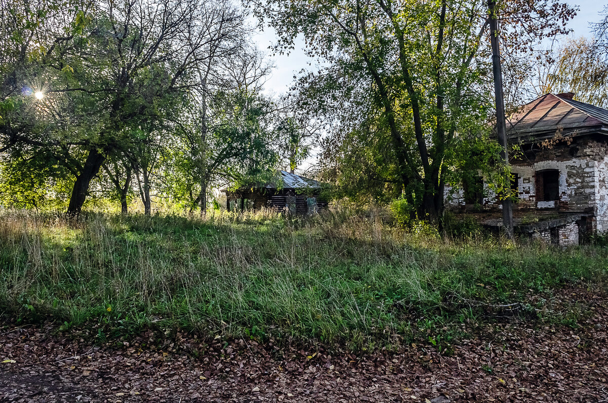 Заброшенка - Андрей Щетинин