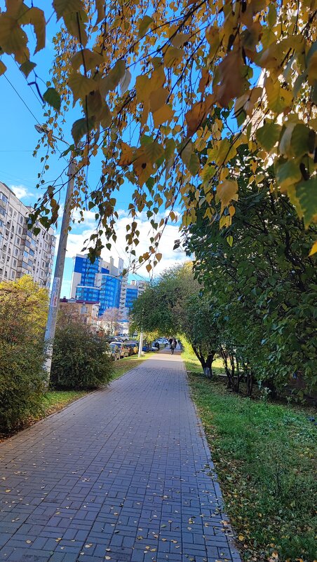 ,,, - Сергей Тимоновский