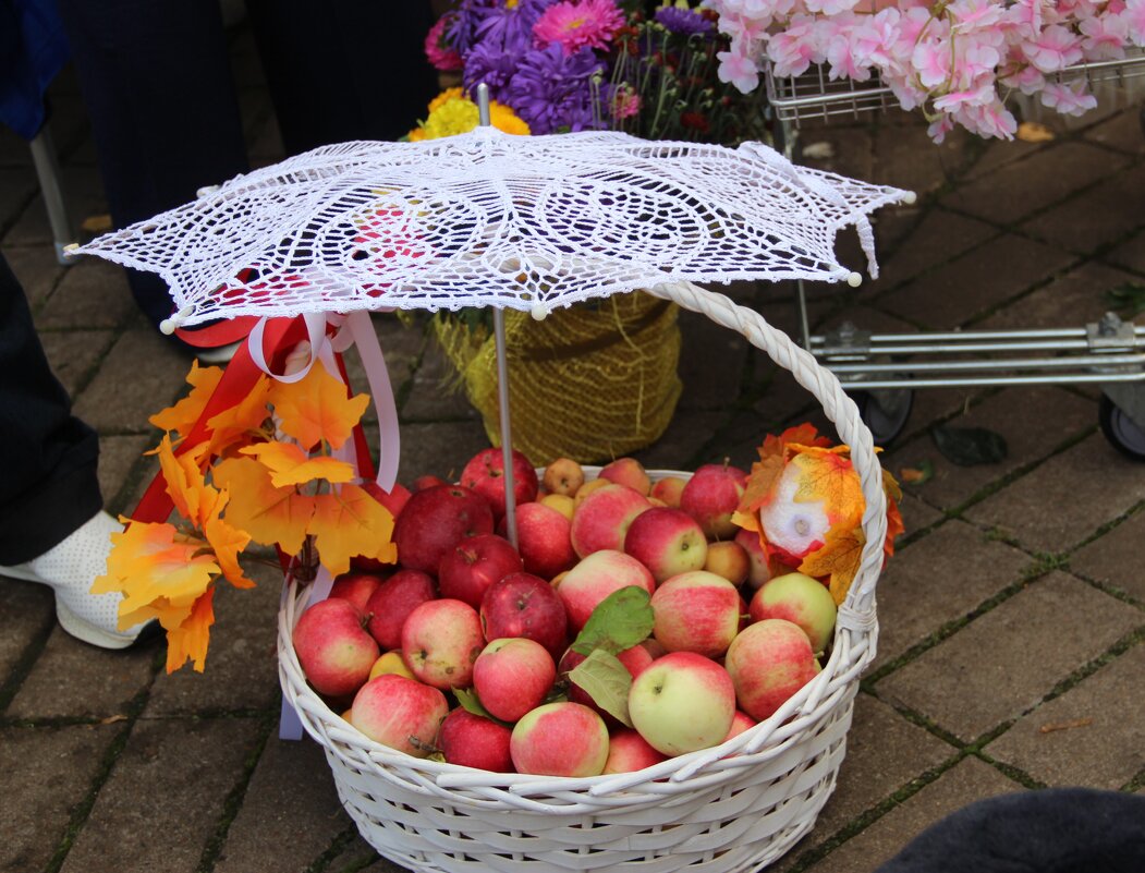 Осень - Венера Чуйкова