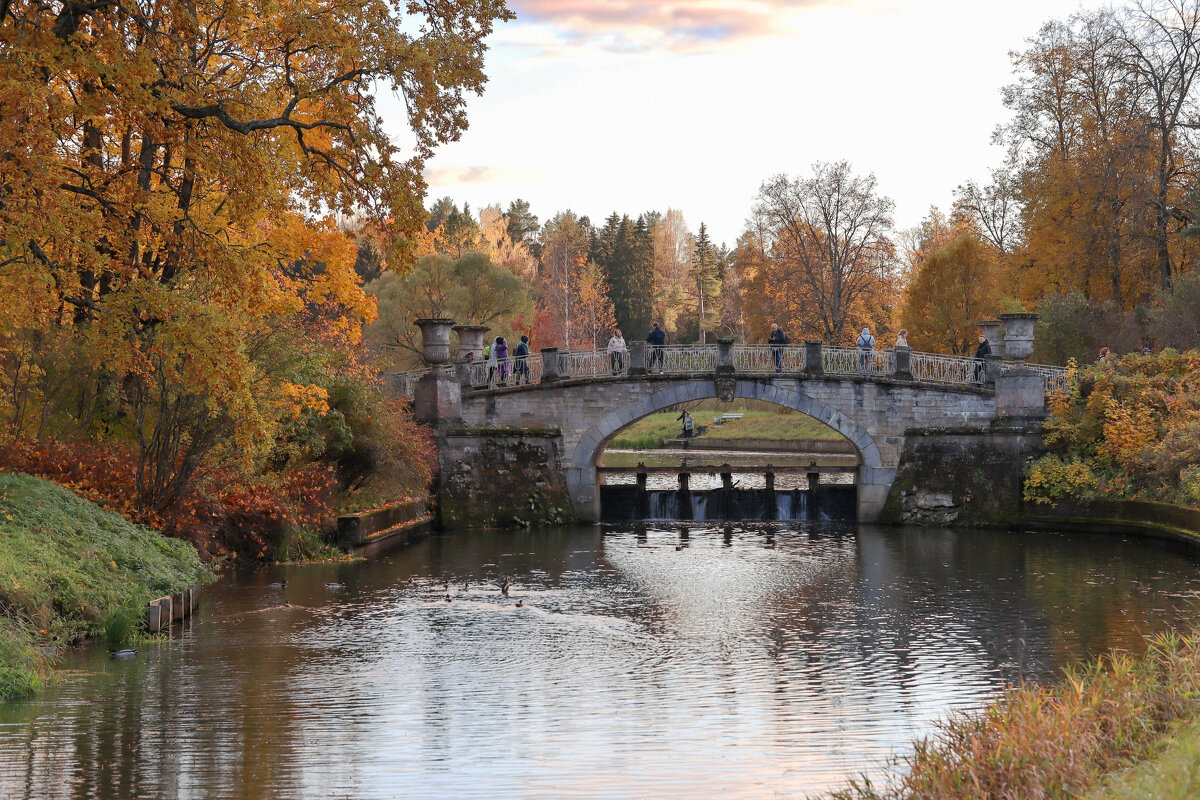 Павловский парк - skijumper Иванов