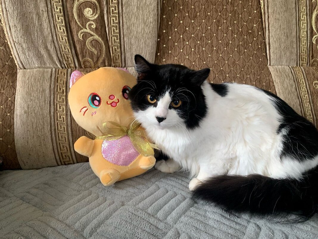 Пушок с моим подарком! - Нина Андронова