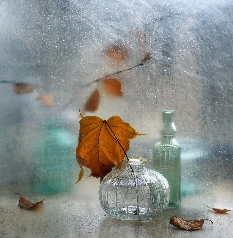 осенний этюд... - Natali-C C