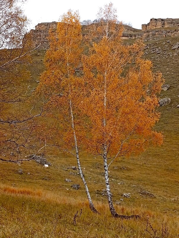 Золотая осень - Екатерина Филипенко