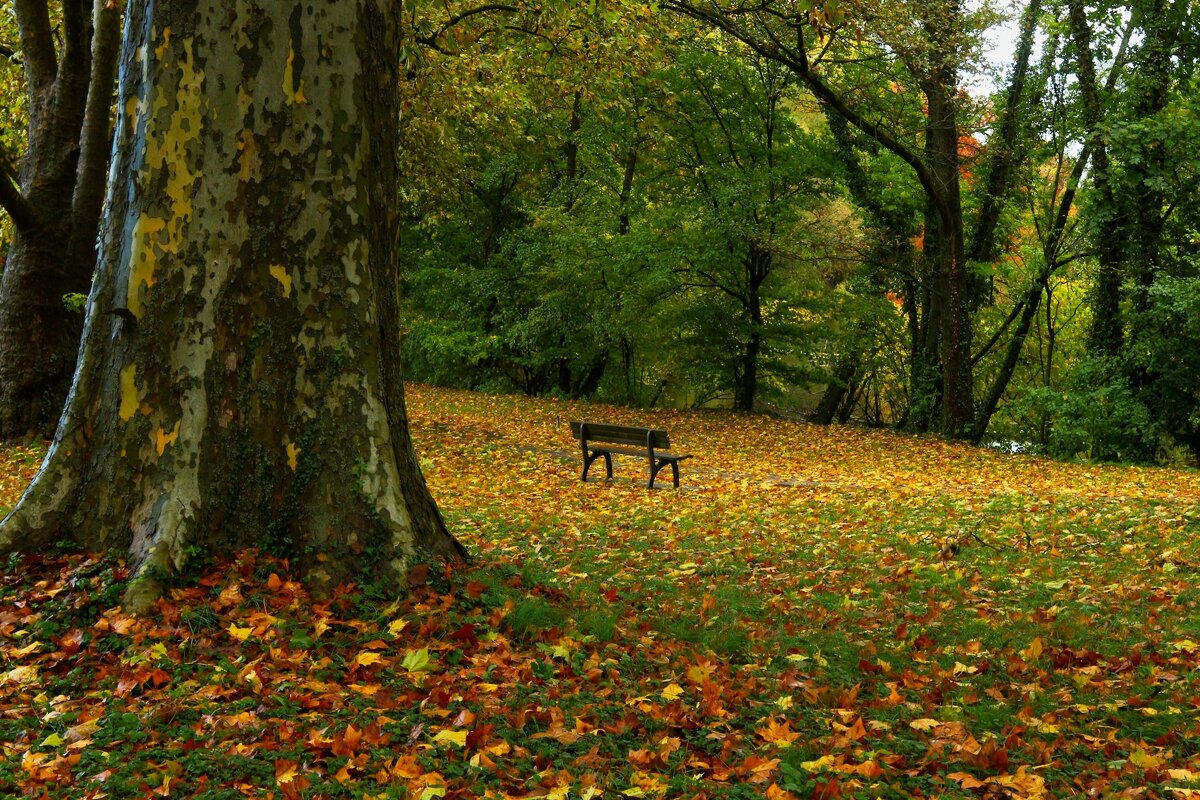 Октябрьские мотивы - Юрий. Шмаков Октябрьские мотивы - Юрий. Шмаков