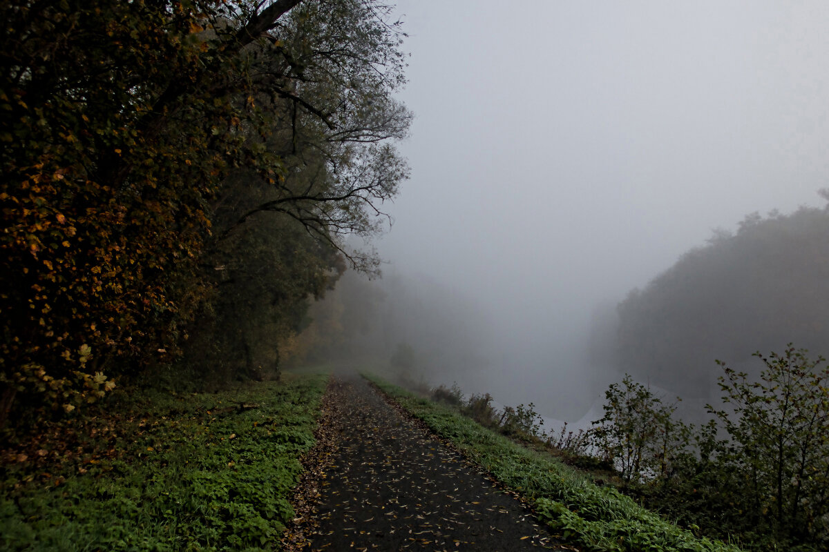 ------------- - igor G. ------------- - igor G.