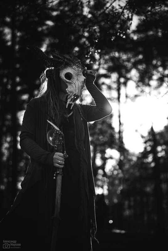 Девушка в образе - Александр Морозов