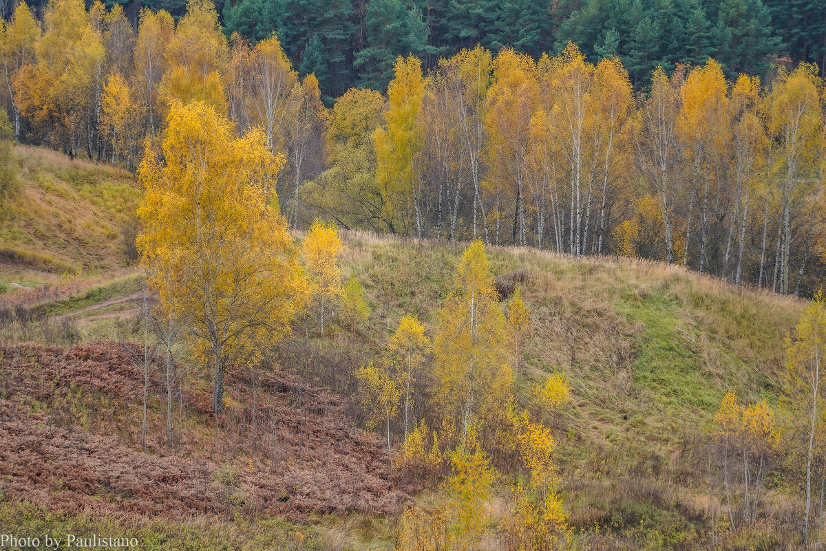 Палитра октября... - Владимир Жданов