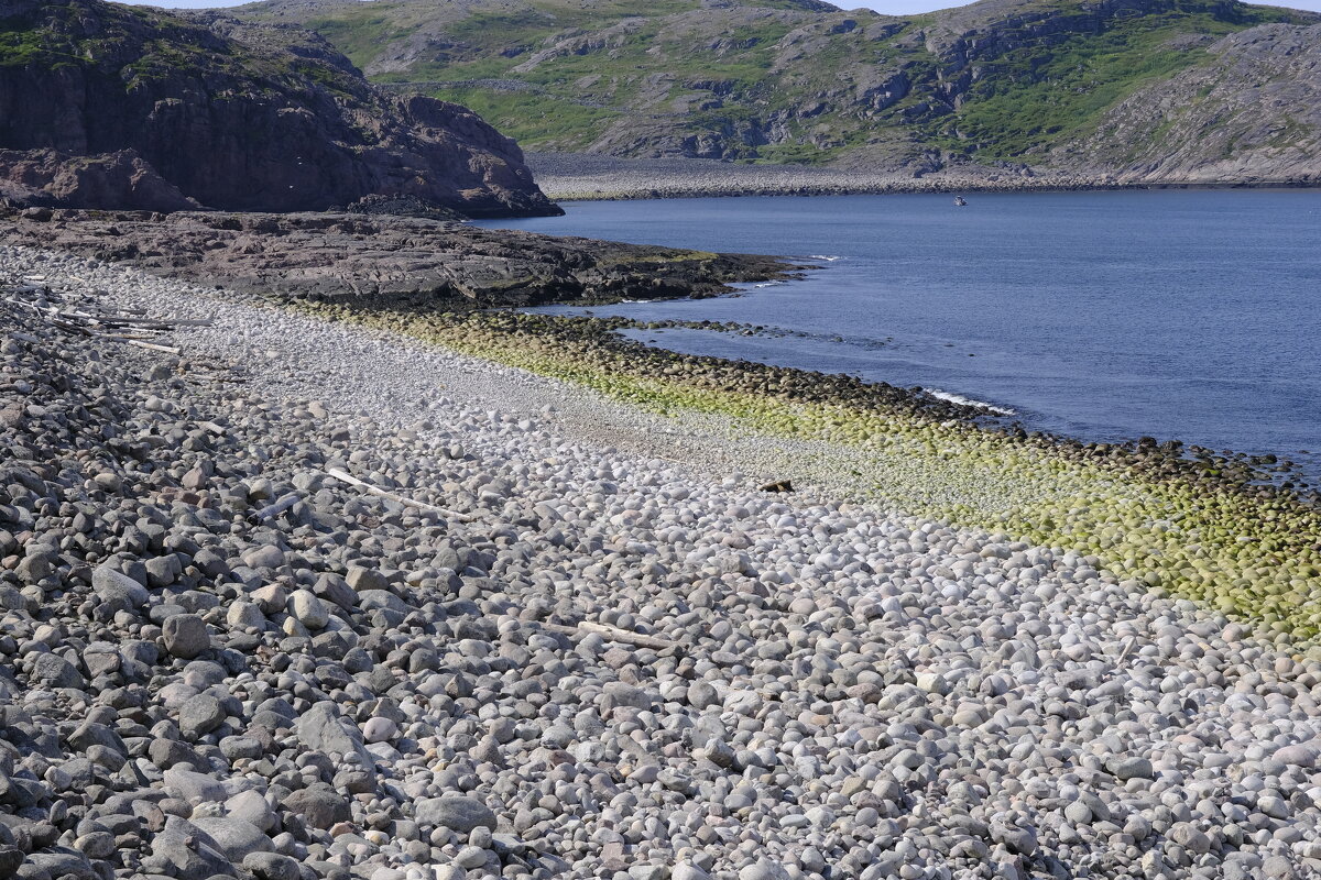 НаТериберке - esadesign Егерев