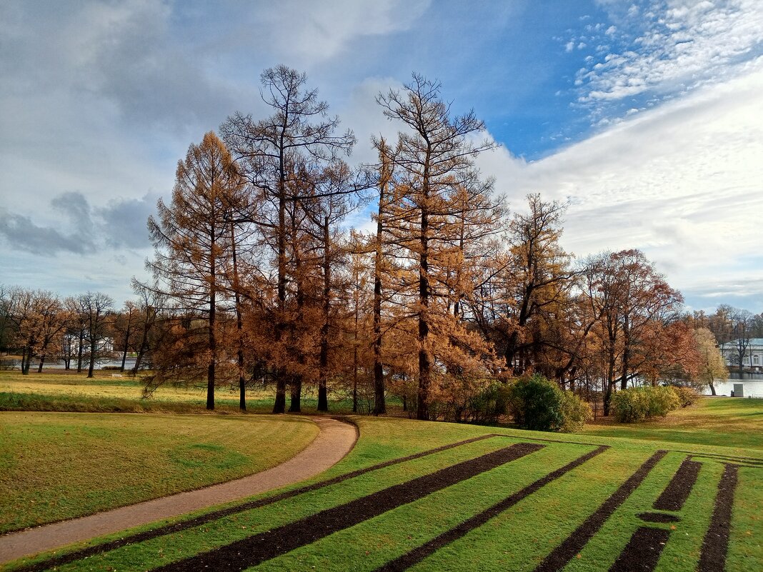 Осень - Сапсан 