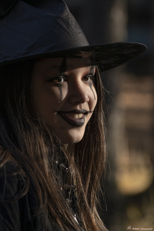 Время ведьм. - Андрей + Ирина Степановы